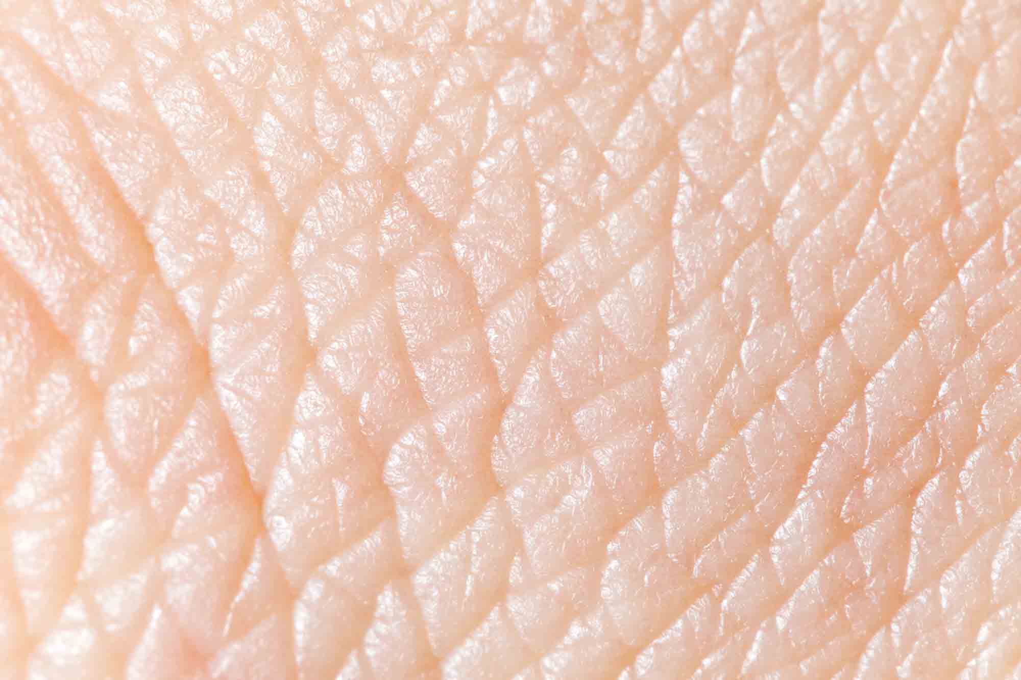 Human skin